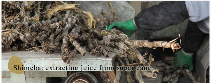 Shimeba: extracting juice from sugar cane